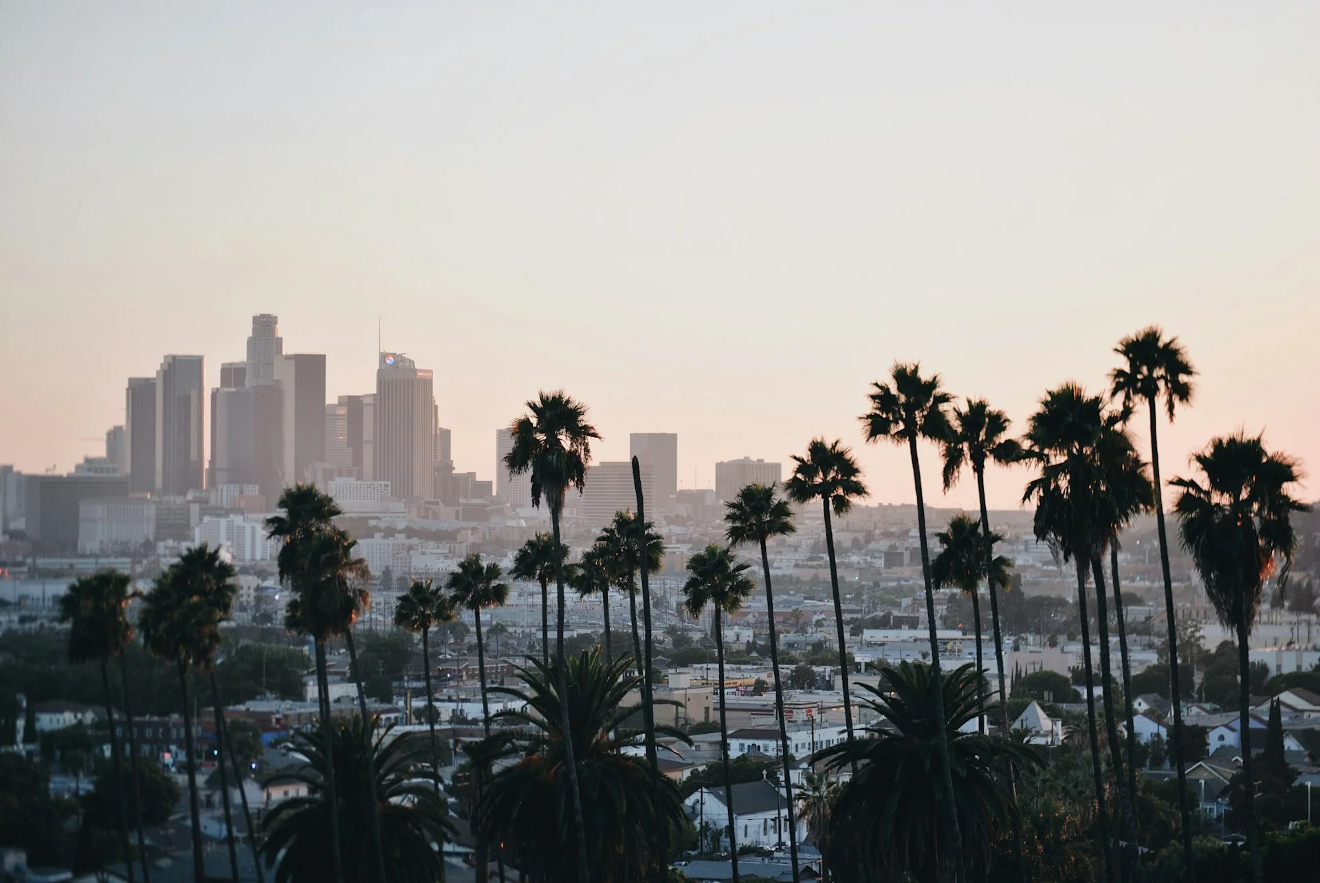 Los Angeles skyline at sunset with palm trees